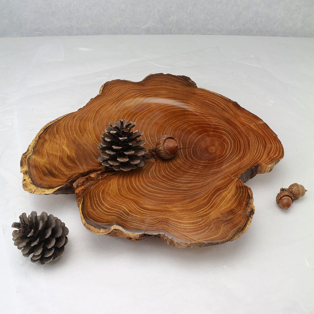 Sassafras Root Plate | 11"x10.5"x1.5" | Ornamental | Hand-Crafted