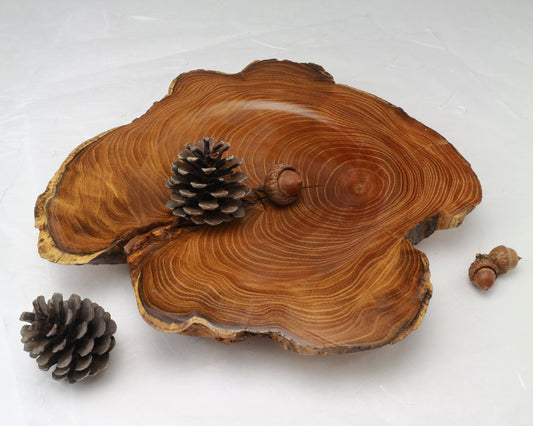 Sassafras Root Plate |  11"x10.5"x1.5" | Ornamental | Hand-Crafted