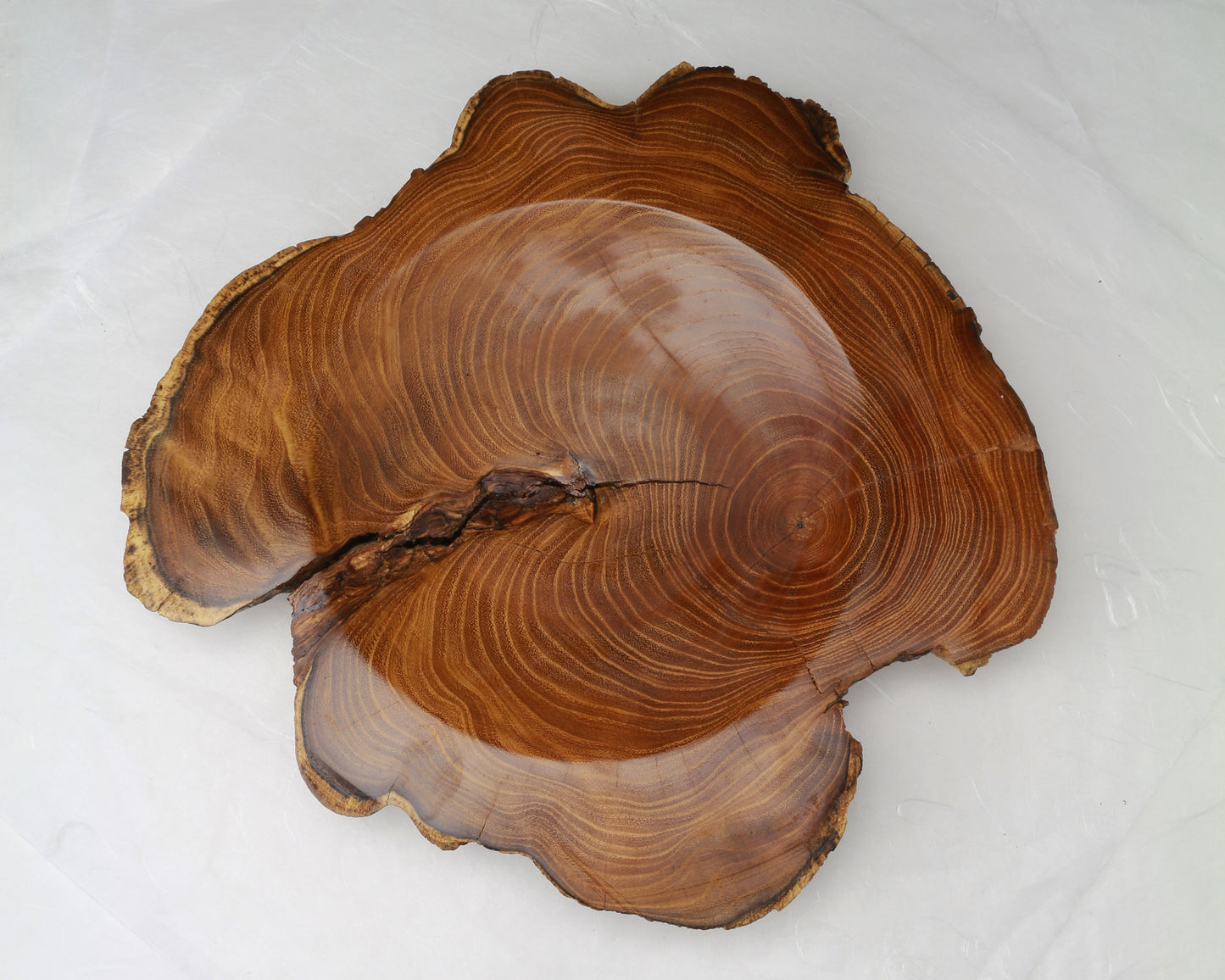 Sassafras Root Plate |  11"x10.5"x1.5" | Ornamental | Hand-Crafted