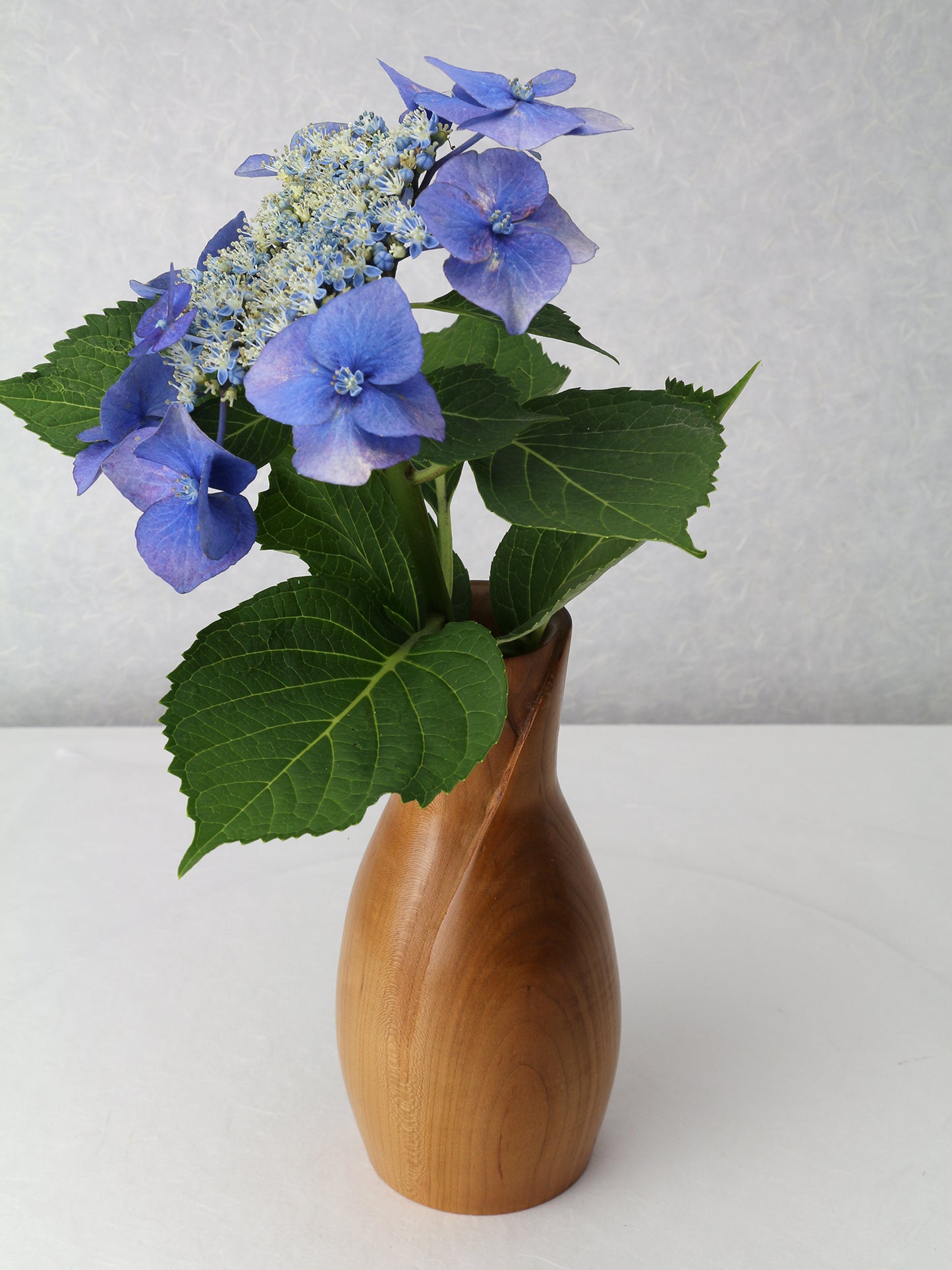 Collar Neck Vase | Dry Flower Vase | Cherry | 3.5"x 8"0052-VwCCr8x3.5-119