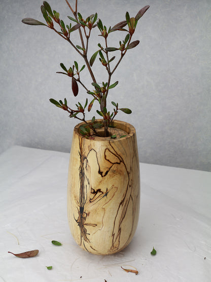 U-Shape Vase with Lid | Spalted Maple