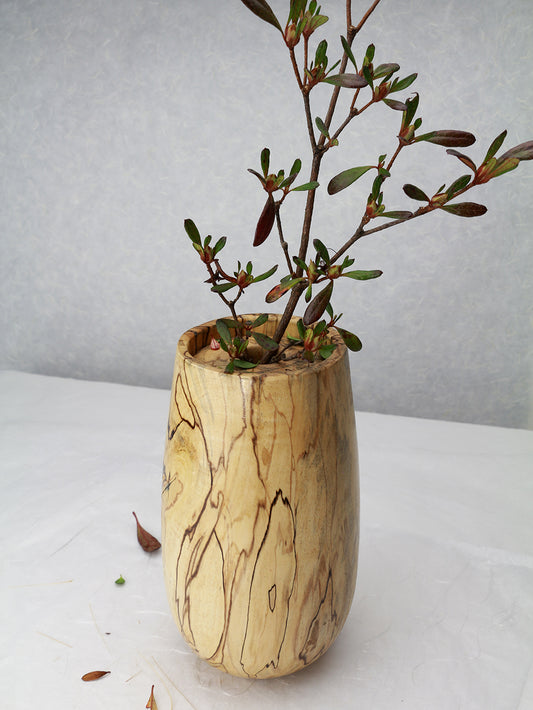 U-Shape Vase with Lid | Spalted Maple