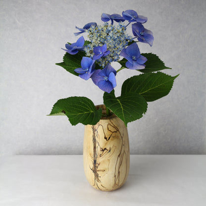 U-Shape Vase with Lid | Spalted Maple