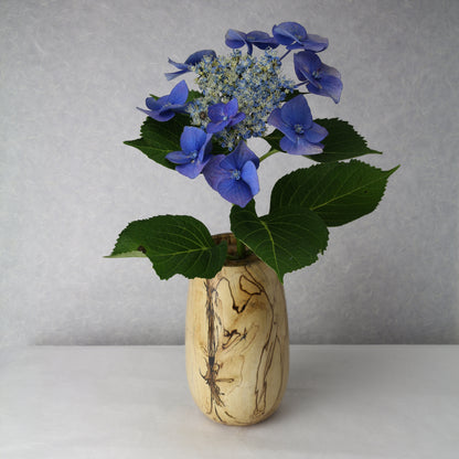 U-Shape Vase with Lid | Spalted Maple